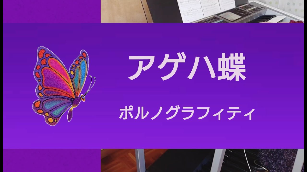 【アゲハ蝶 / ポルノグラフィティ】エレクトーン