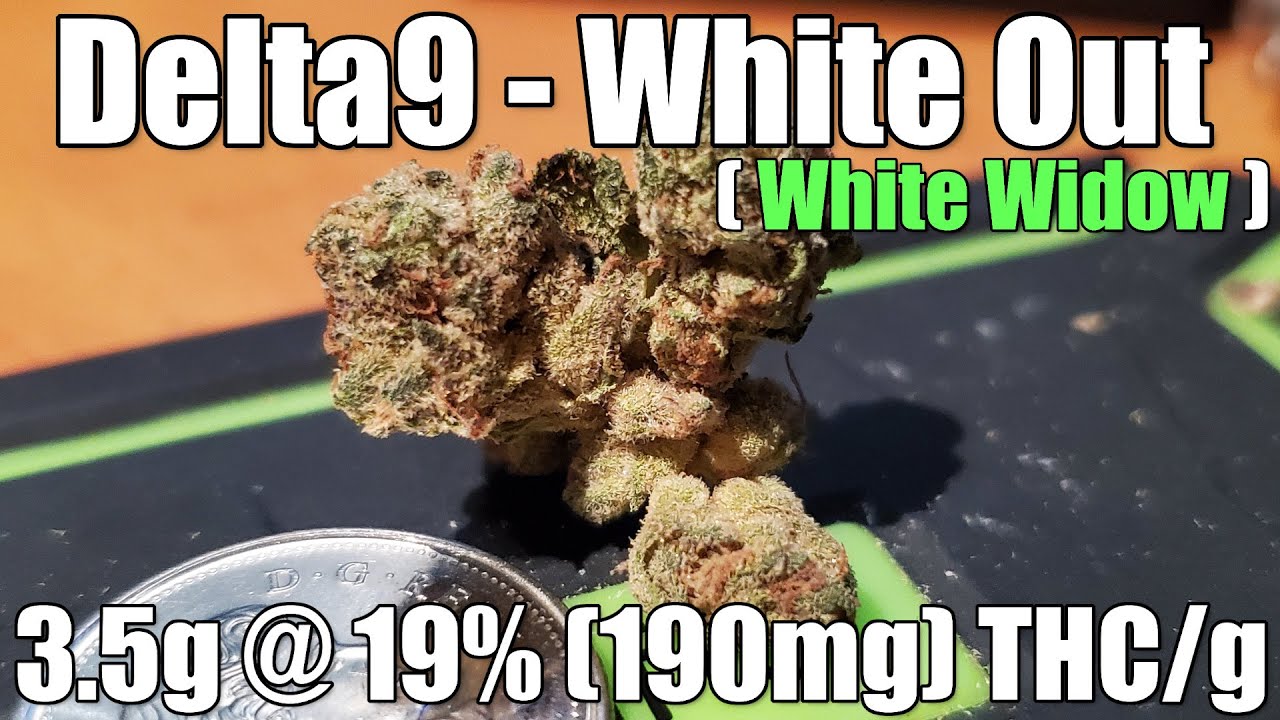 Delta9 - White Out - Unboxing Review - 3.5g @ 19% (190mg) THC/g (+Extreme Closeups)