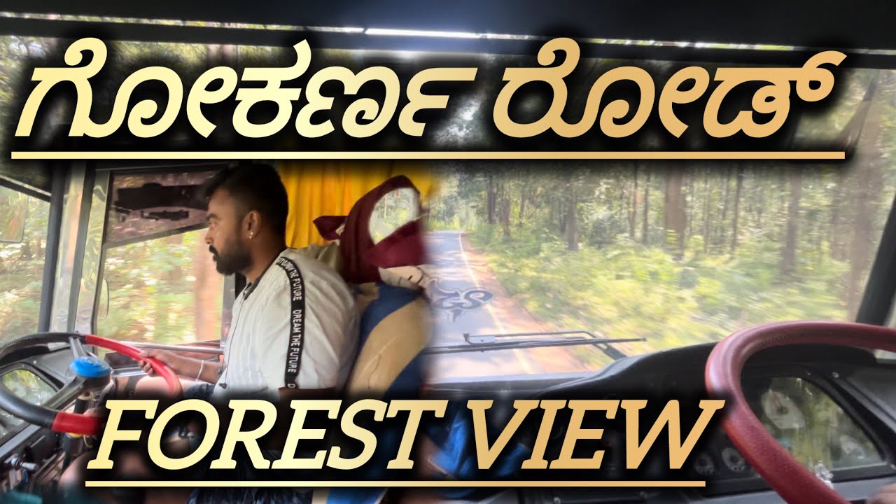 ಗೋಕರ್ಣ forest ￼ view super ನೋಡಿ ಎಂಜಾಯ್ ಮಾಡಿ