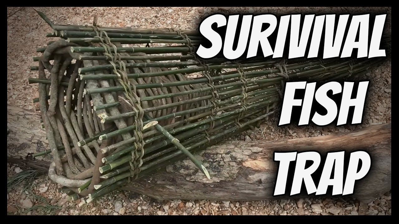 The Best Survival Fish Trap