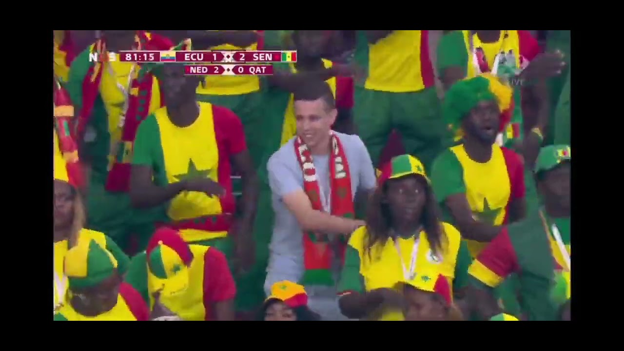 Moroccan dances with Senegalese supporters against Ecuador! #shorts