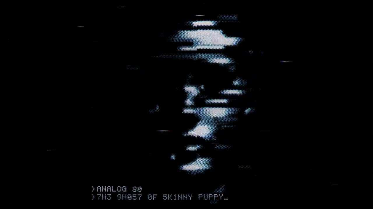 Analog 80 - The Ghost Of Skinny Puppy