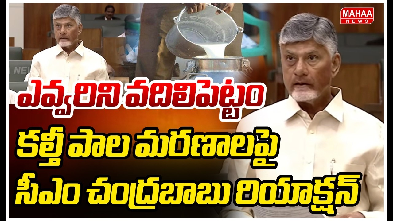 ఎవ్వరిని వదిలిపెట్టం | CM Chandrababu Speech In AP Assembly | Mahaa News