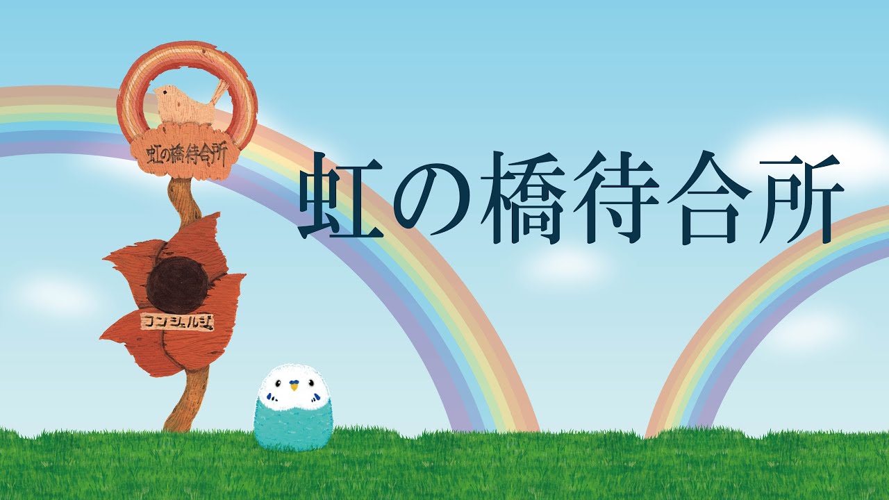 「虹の橋待合所」　#虹の橋　#ペットロス　#セキセイインコ