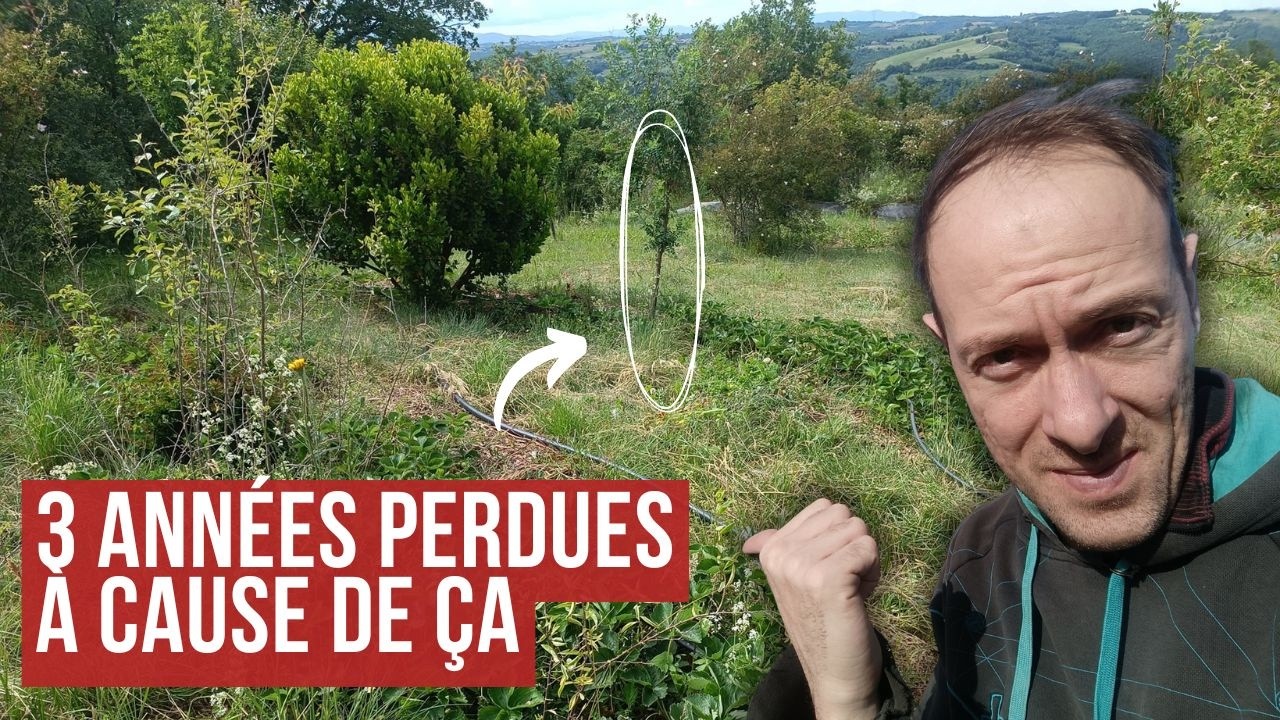 Forêt-jardin en permaculture : 3 ERREURS à éviter ! 🌱