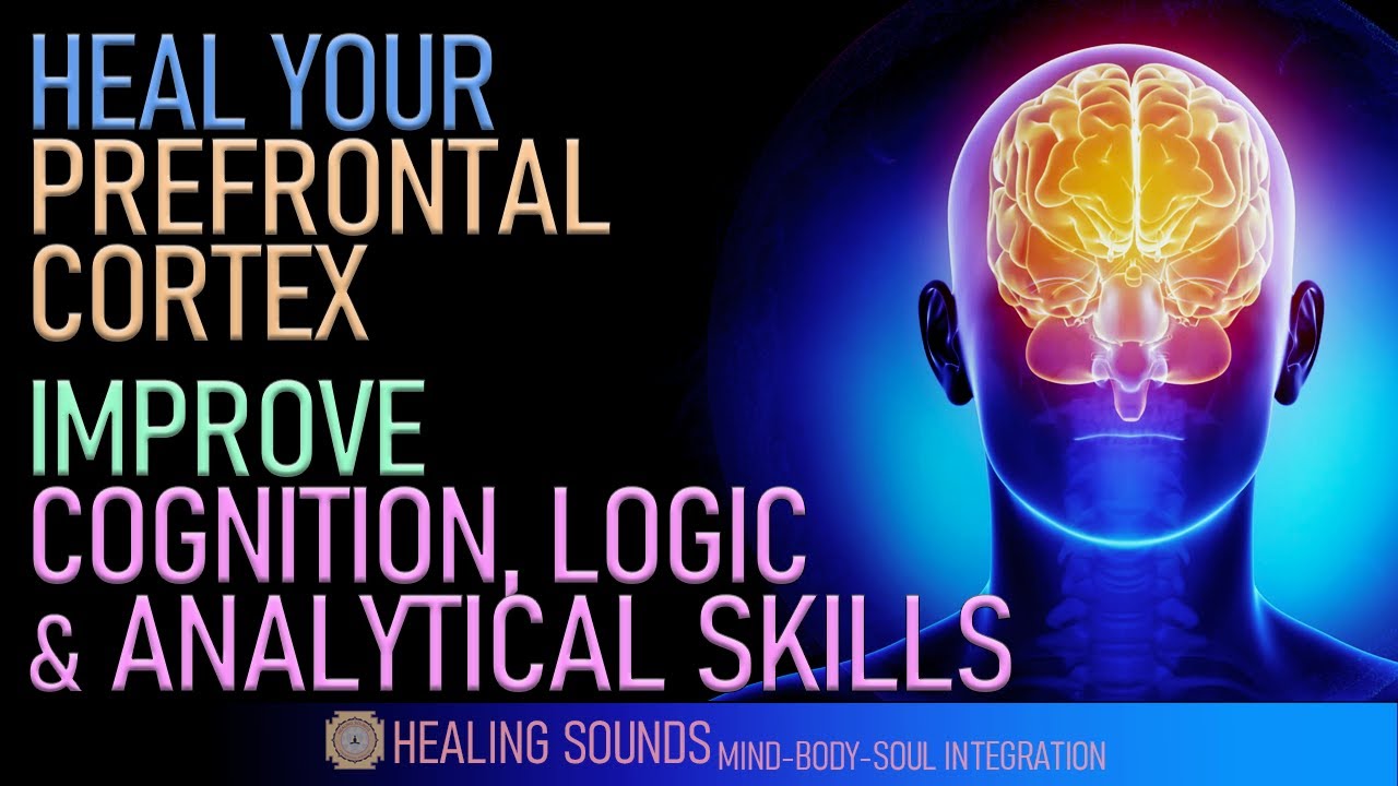 Heal Your Prefrontal Cortex | Improve Cognition Logic & Analytical Skills | Alpha Waves Music | 12Hz