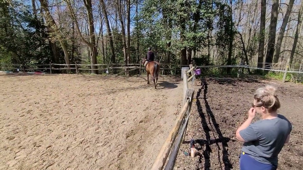 Erin Simon and Sissy Introductory USDF Dressage Test A 04-22-2022