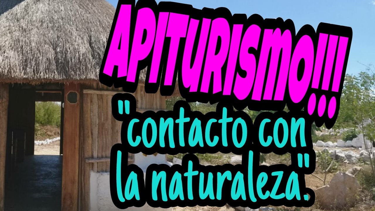 Turistea Conmigo- Cap. 2- Apiturismo Sinanché || AleGcBlog