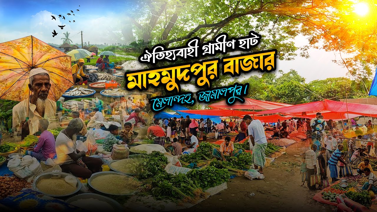 ঐতিহ্যবাহী গ্রামীণ হাট মাহমুদপুর বাজার ভ্রমণ | মেলান্দহ জামালপুর