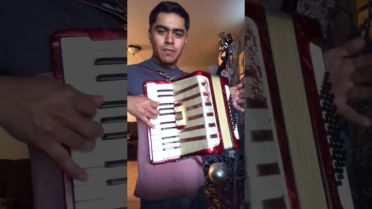Juventud | Los Angeles Azules #acordeon #cumbia #baile #musica