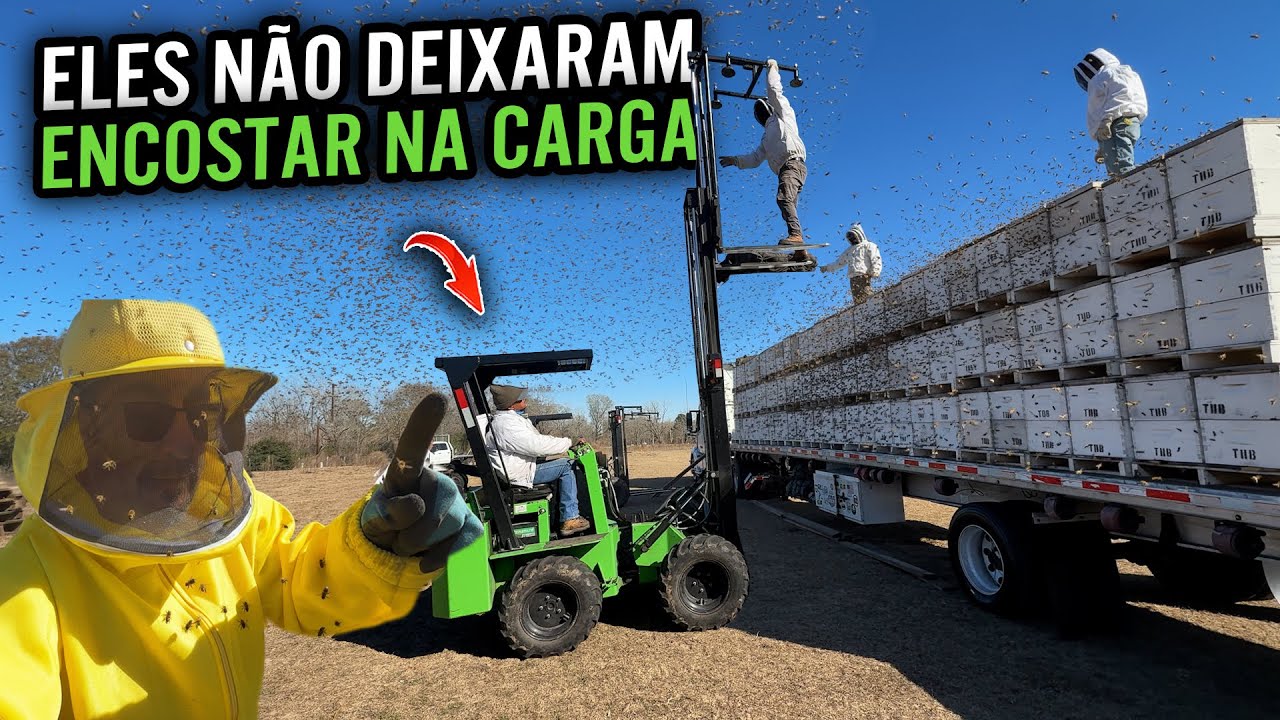ELES NÃO ME DEIXARAM ENCOSTAR NA CARGA DE ABELHAS 😱