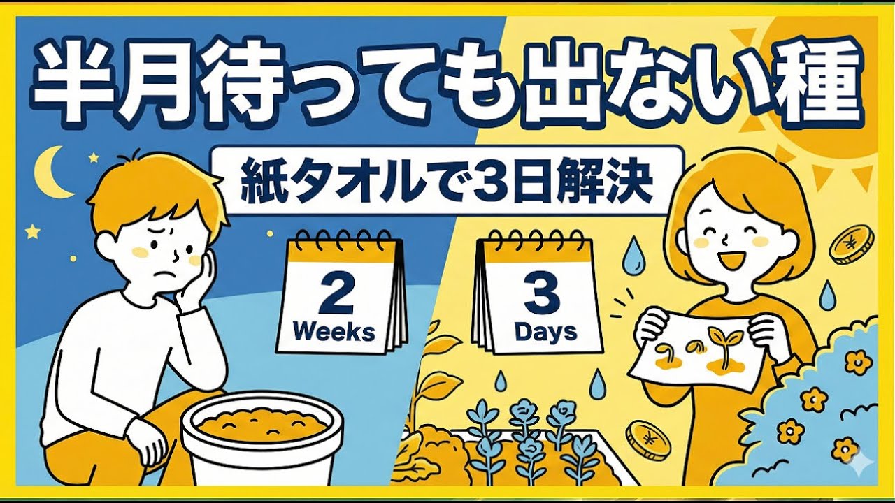【園芸裏技】種をまいて15日変化なし？キッチンペーパー催芽法なら3日で根が出る！発芽率を50パーセント向上させる初心者必見の種まき完全攻略ガイド