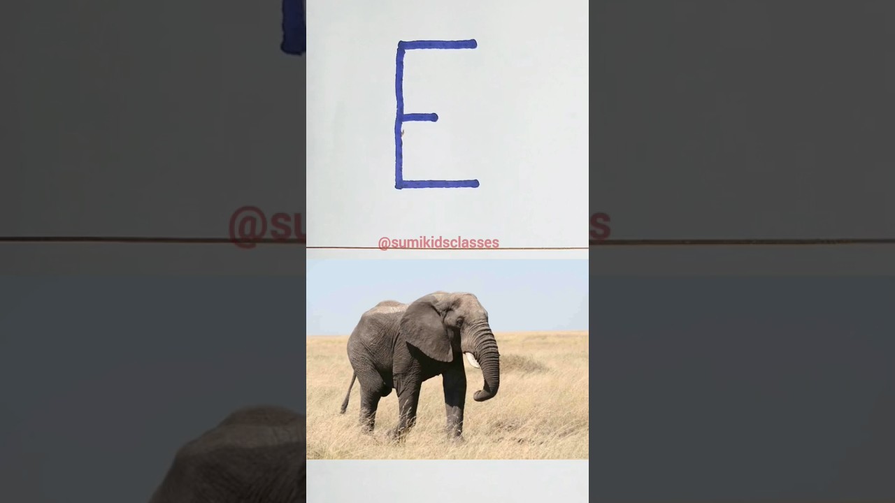 E, e for elephant #abcd #aforapple