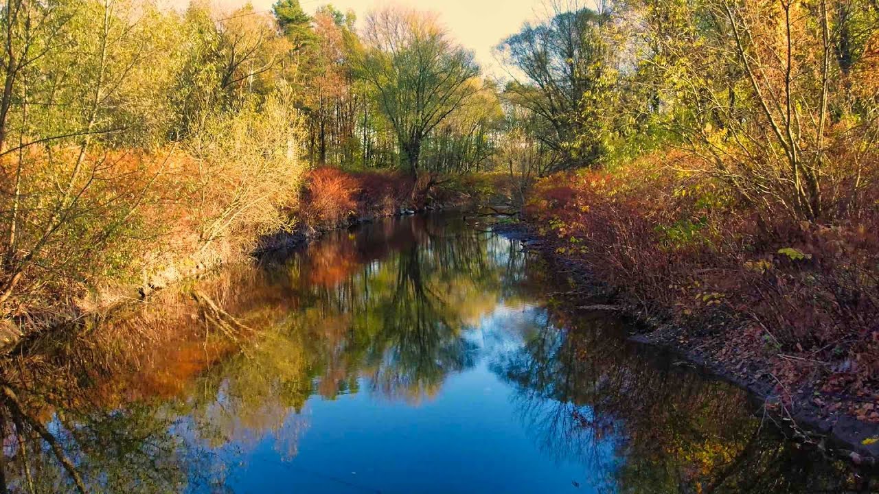 Autumn ambience  /Jesienny nastr&oacute;j   4k #axxonpl