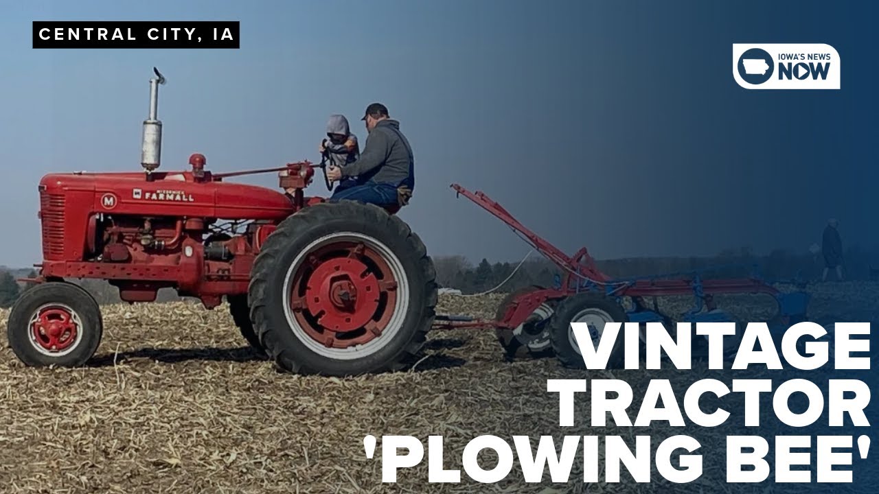 Vintage tractor enthusiasts gather for 'plowing bee'