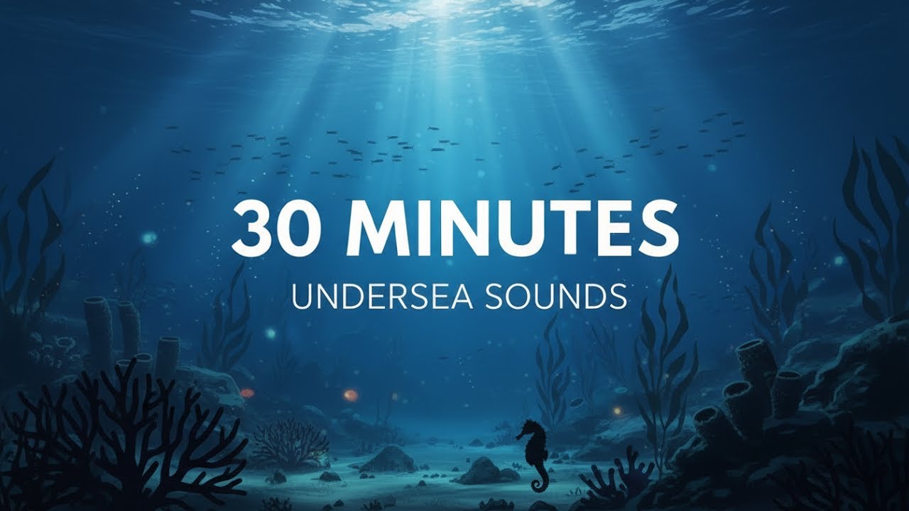 30 Minutes Under the Sea Sounds | Deep Ocean Noises for Meditation & Work