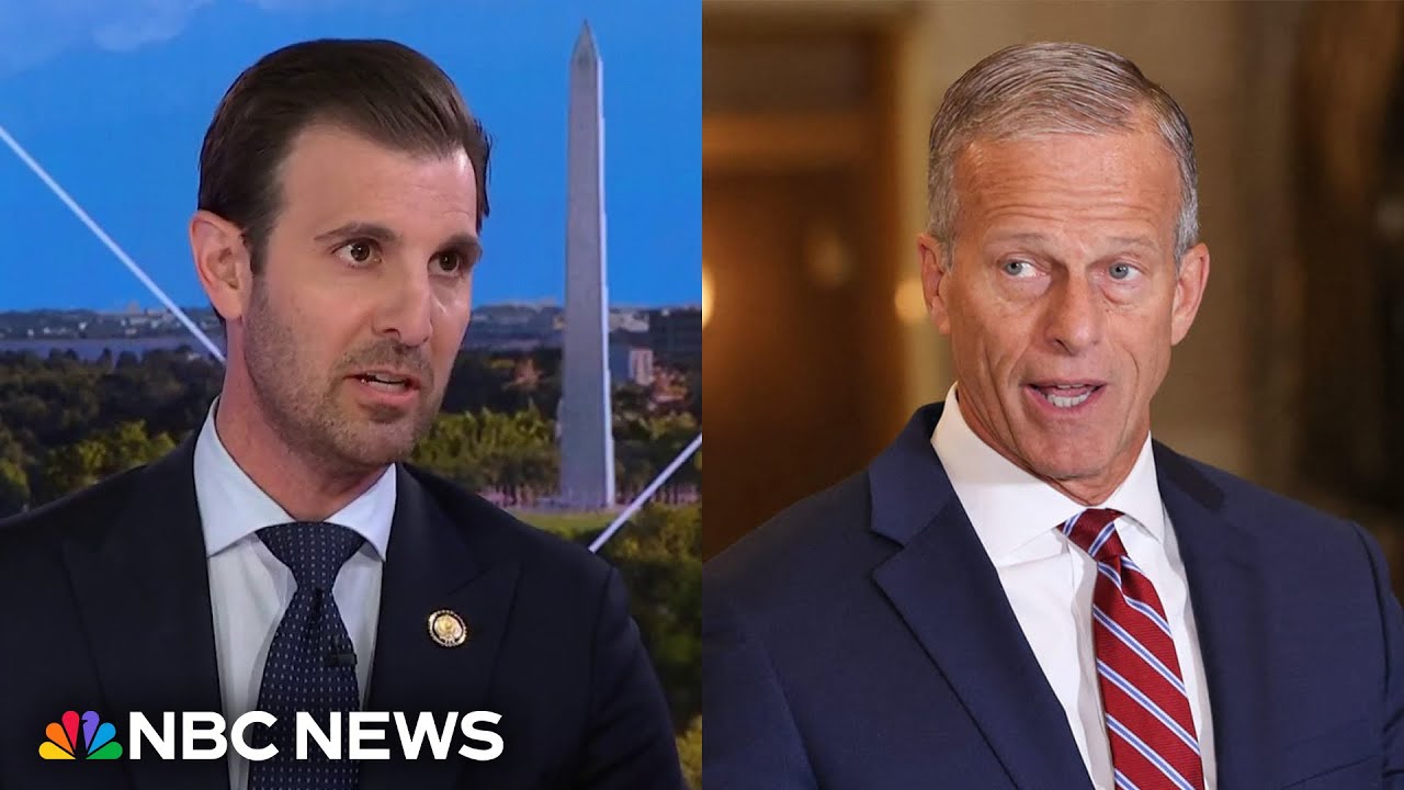 Republicans ‘should’ eliminate filibuster or work with Democrats on shutdown, House Democrat says