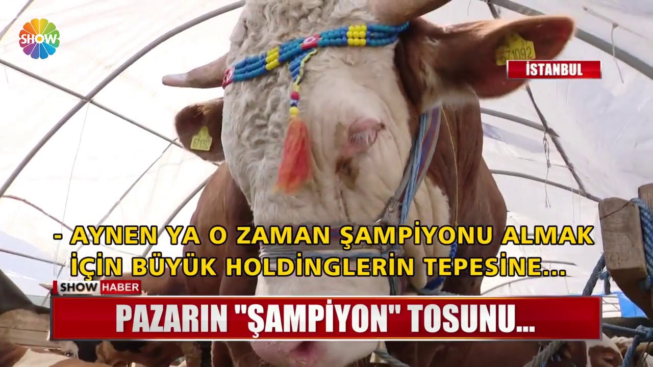 Pazarın 