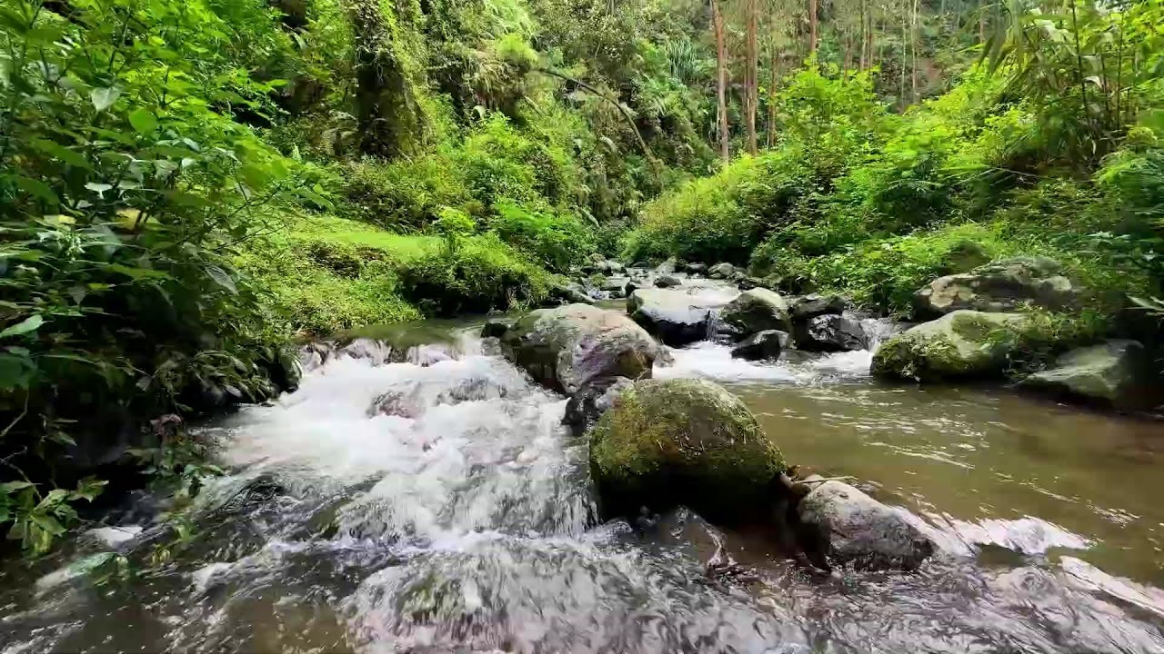 Natural river sound under moonlit forest sky helping your mind rest in deeper deep sleep