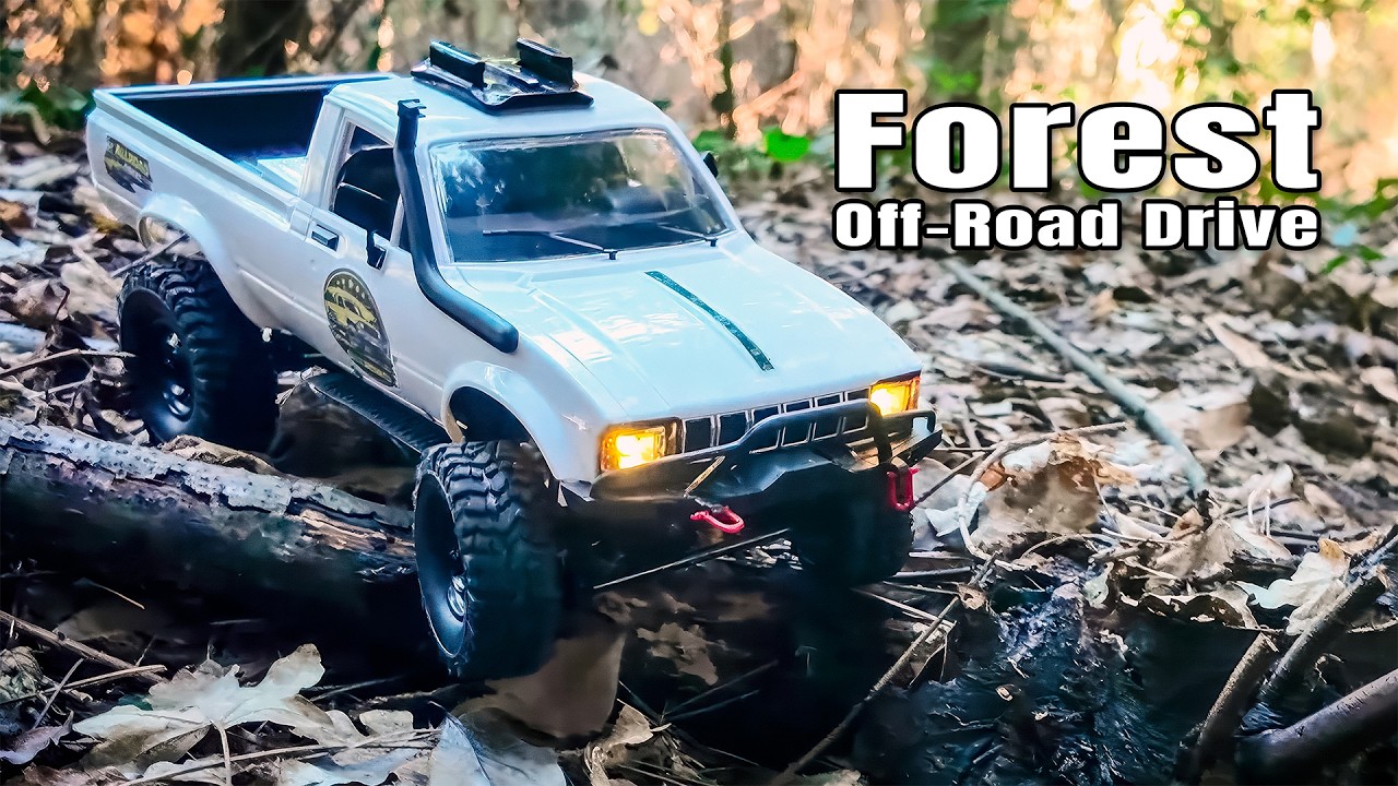 Forest Crawling | C24-1