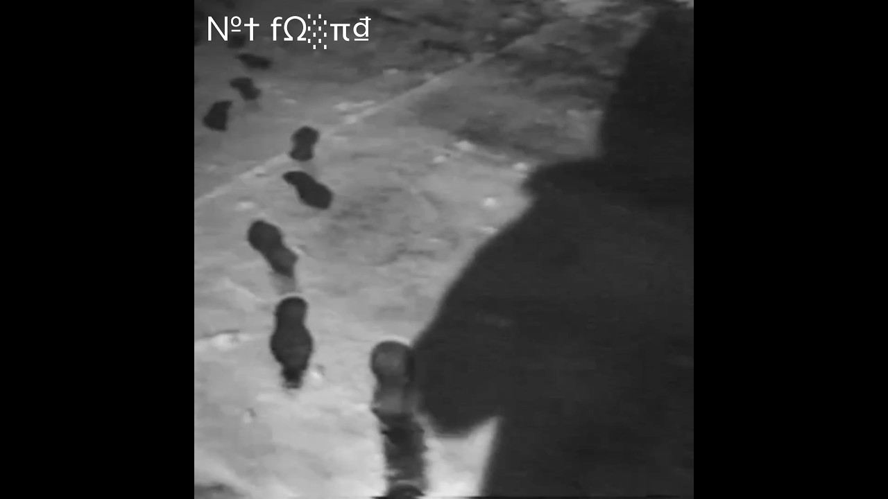 CLAMS CASINO TYPE BEAT 2026 x ASAP ROCKY TYPE BEAT // ANGELS (prod. jd404notfound)