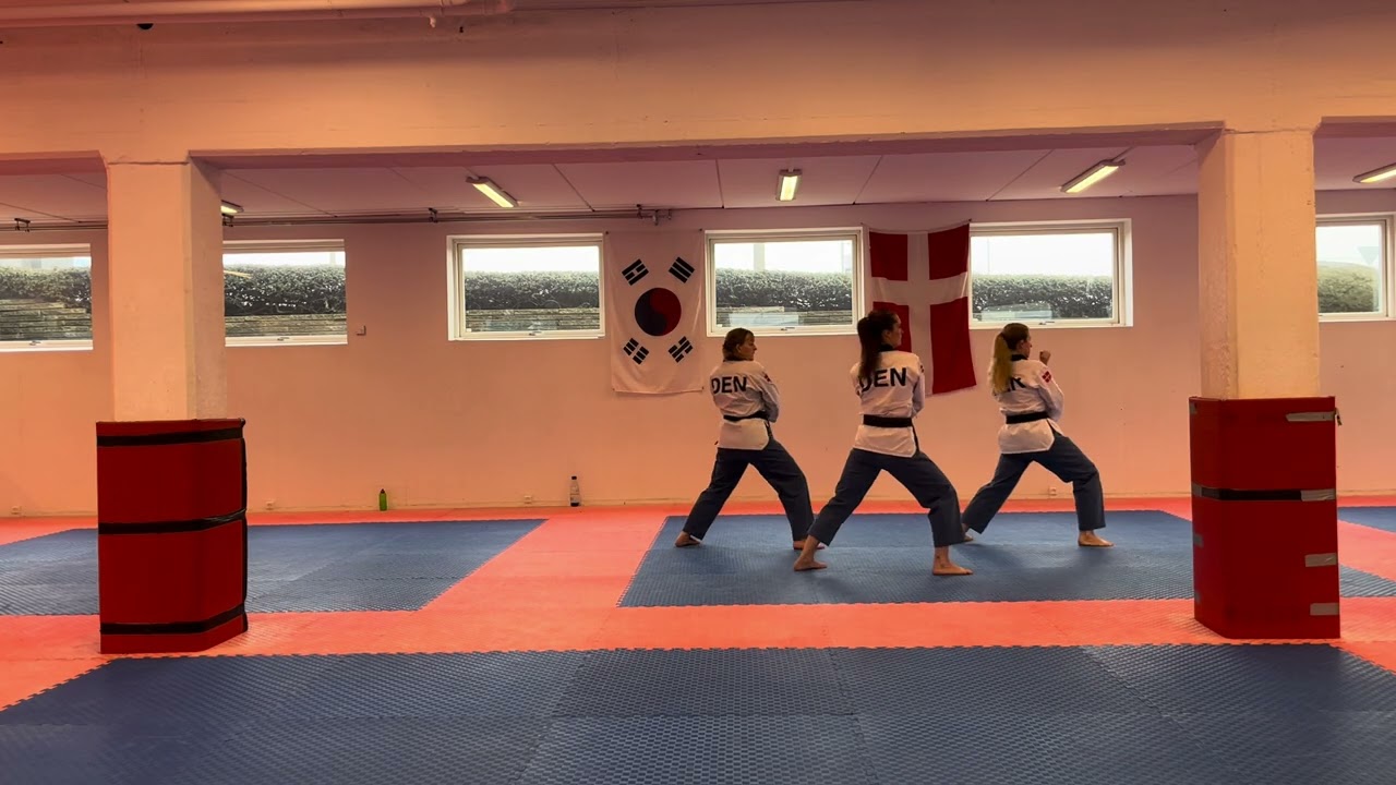 Final – Nicole Nielsen, Charlotte Pedersen, Lene Kjær – team U50 Female– DEN– 5JCOP25