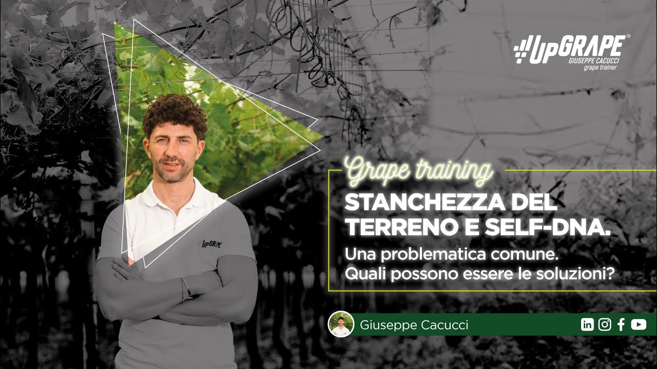 Stanchezza del terreno e self-DNA. Quali possono essere le soluzioni?