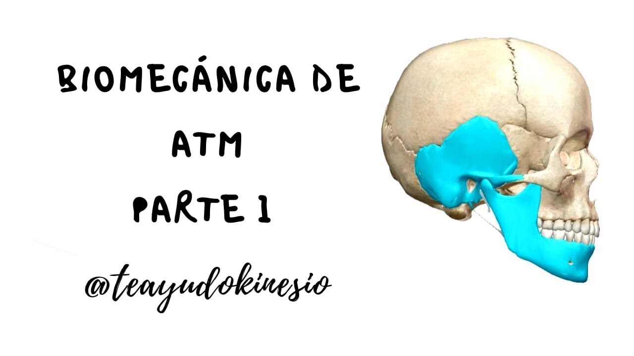 Biomecánica de ATM 1° parte: ROM, perfil óseo y situación articular
