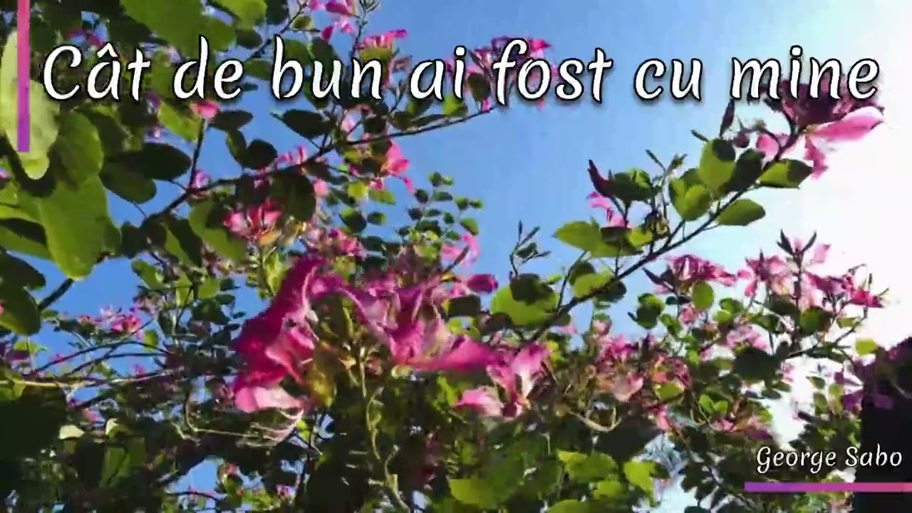 Cât de bun ai fost cu mine[George Sabo