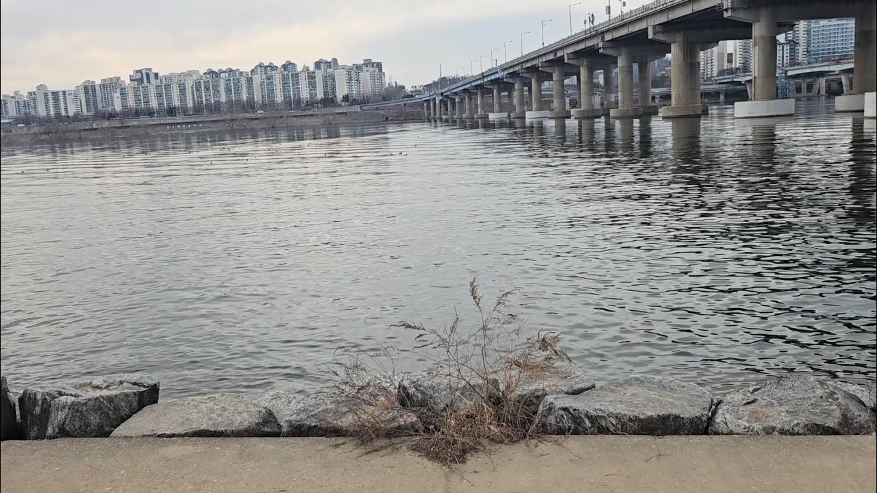 한강 Hangang River #한강 #HangangRiver