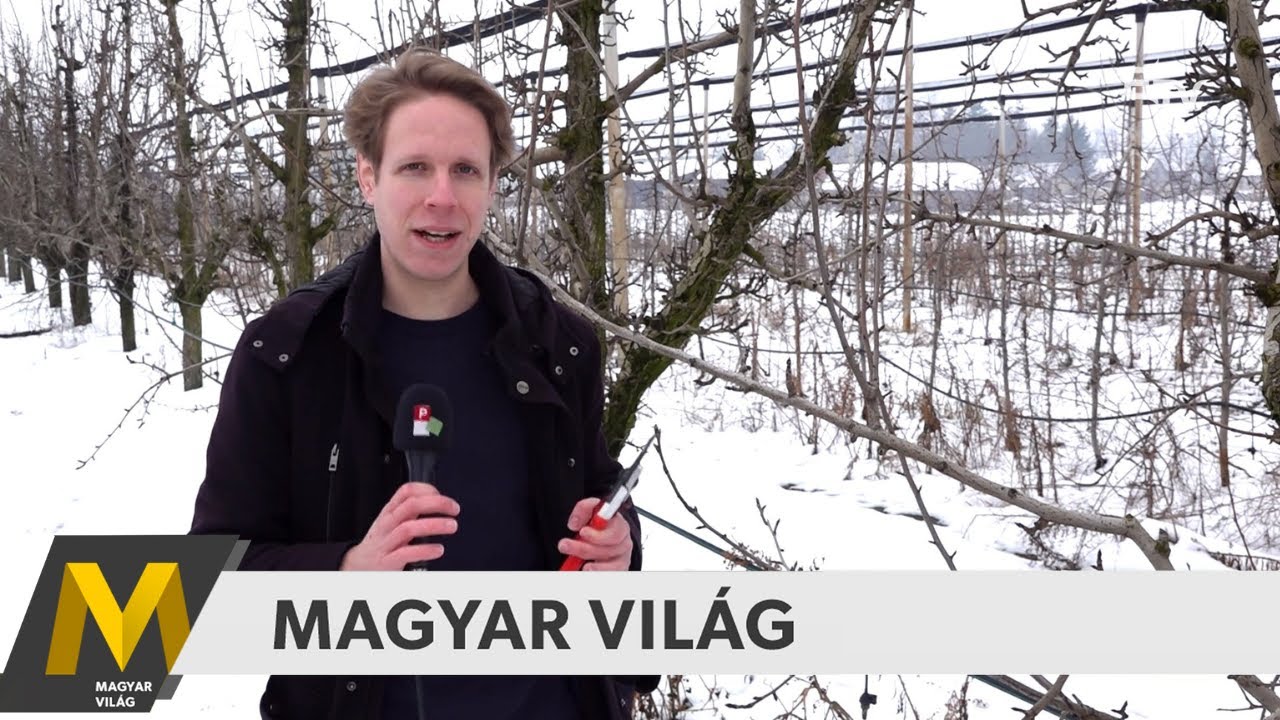 Magyar Világ: Tudományok Napja, gyümölcsfák metszése, Báthory István