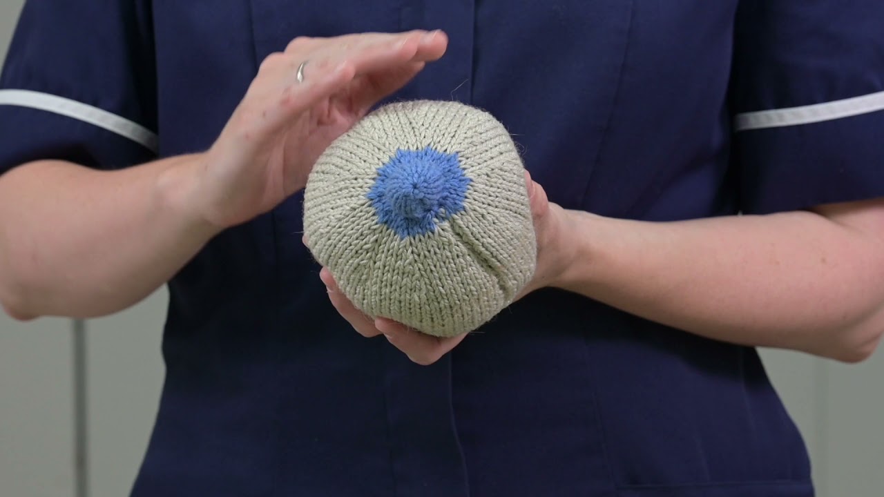 Hand expressing - Leeds Maternity