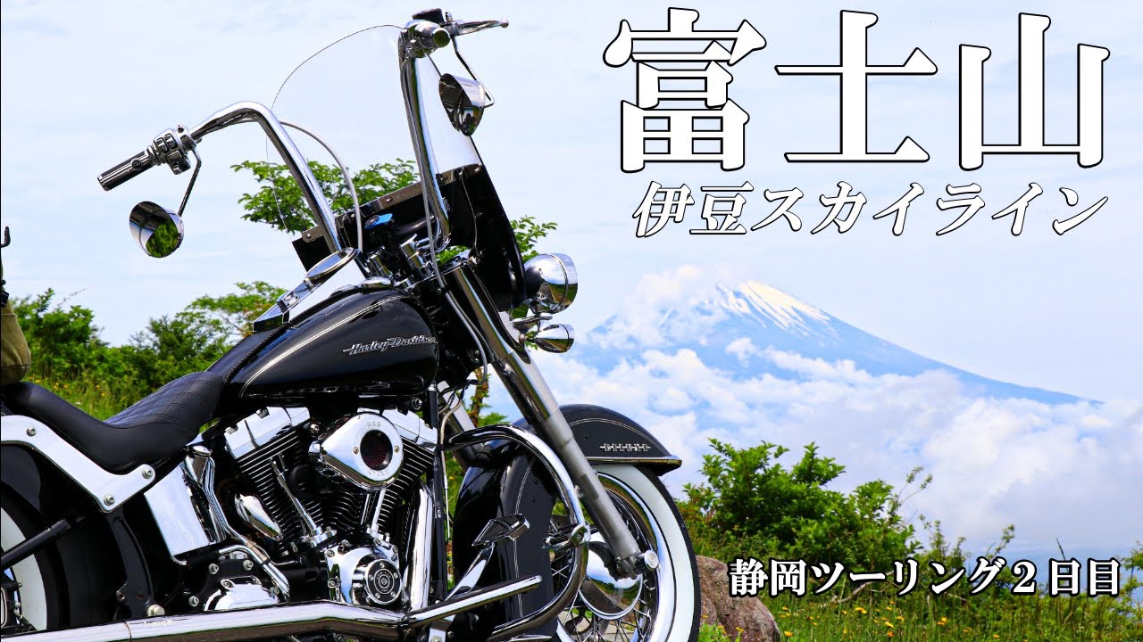 【ハーレー】伊豆スカイライン絶景だらけ。【静岡ツーリング②】#flstn