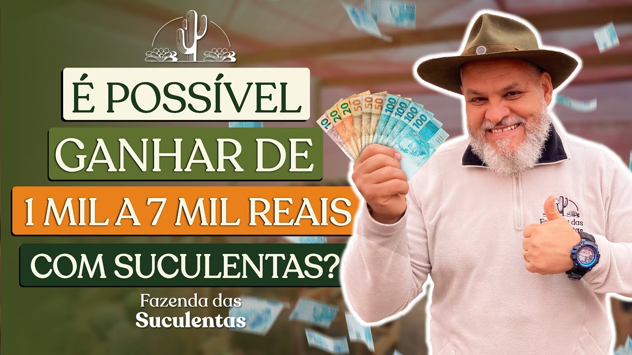 PASSO A PASSO PARA GANHAR DINHEIRO COM SUCULENTAS.
