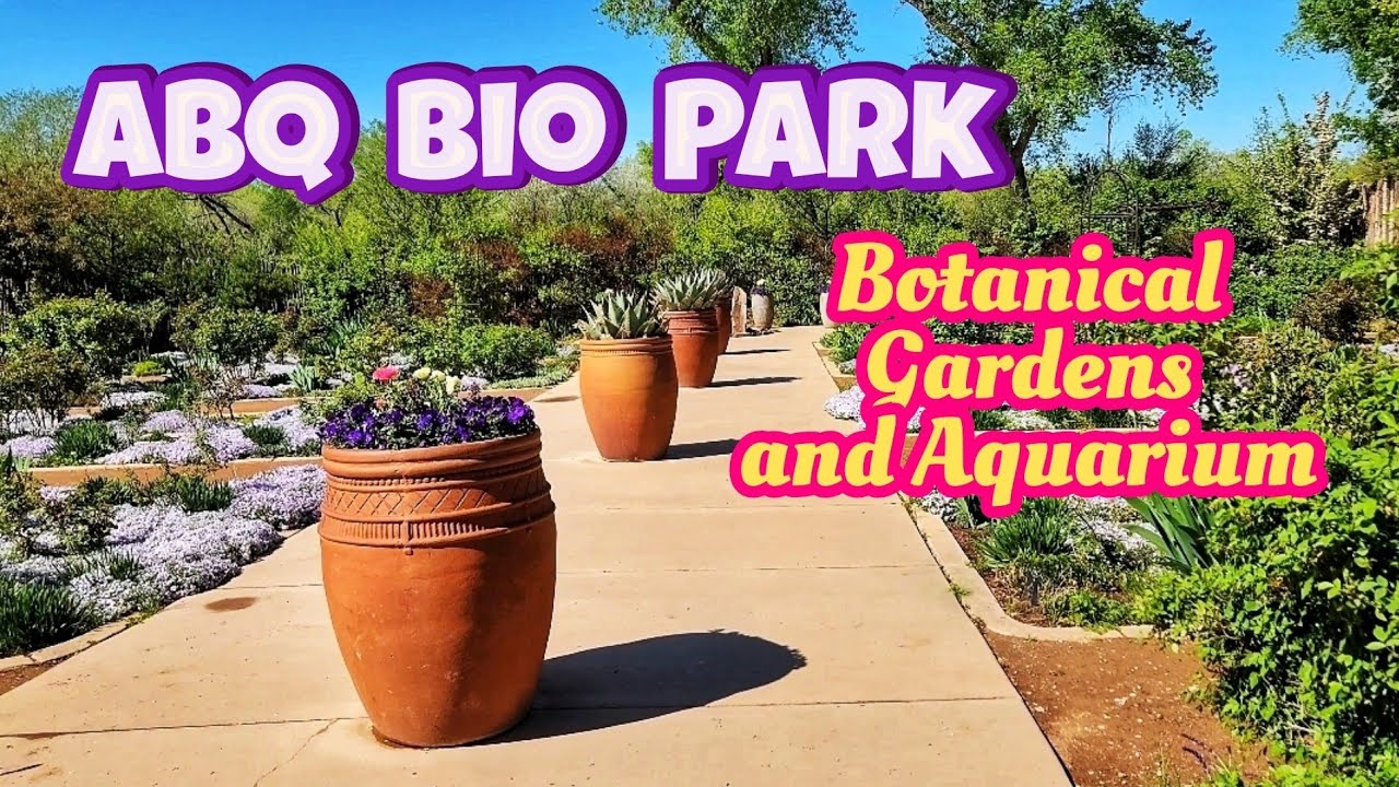The Beautiful Botanical Gardens and Aquarium of Albuquerque