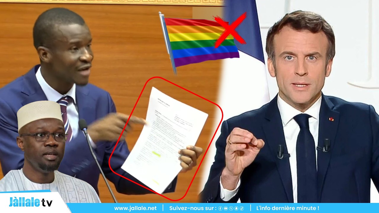 Me Bamba Cissé sert une réplique salée à Macron : « On a le droit d’interdire… »