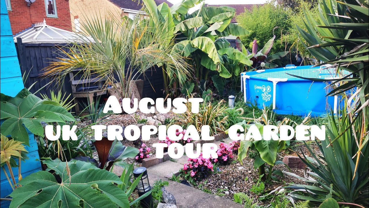 August UK TROPICAL and EXOTIC Garden Tour 🌴 Leicestershire UK