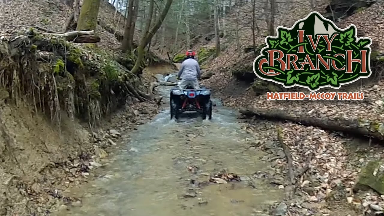 Система Ivy Branch ATV Trail: часть Black Trail 78: Yamaha Kodiak 700s: Hatfield McCoy