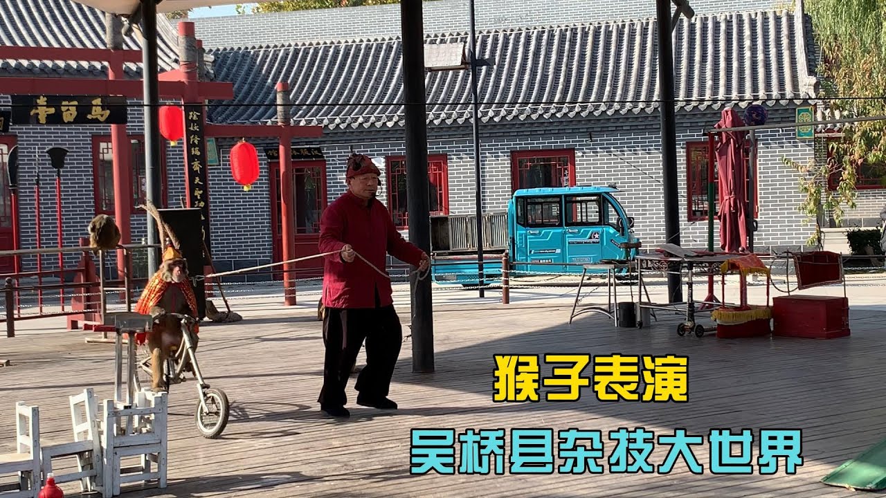 河北省吴桥县杂技大世界猴子表演