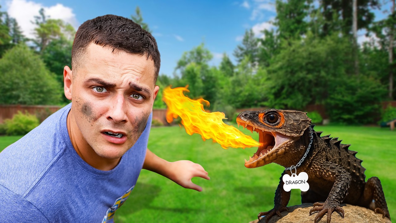 I Found A Dragon and Kept it as a PET… 