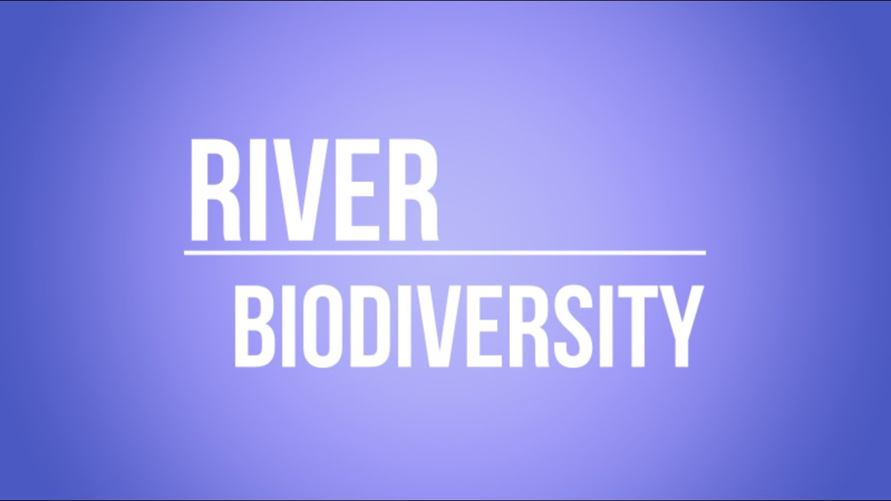 River Biodiversity