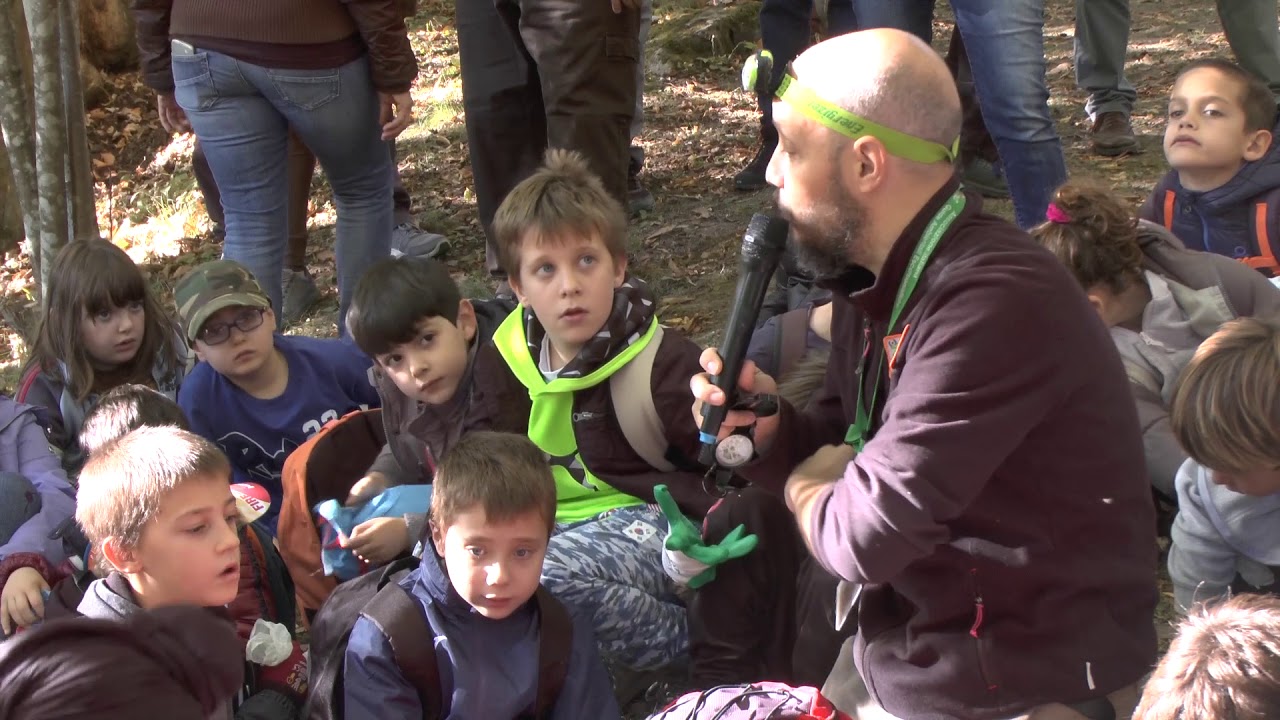 Andare in montagna i consigli della guida ambientale Davide Galli