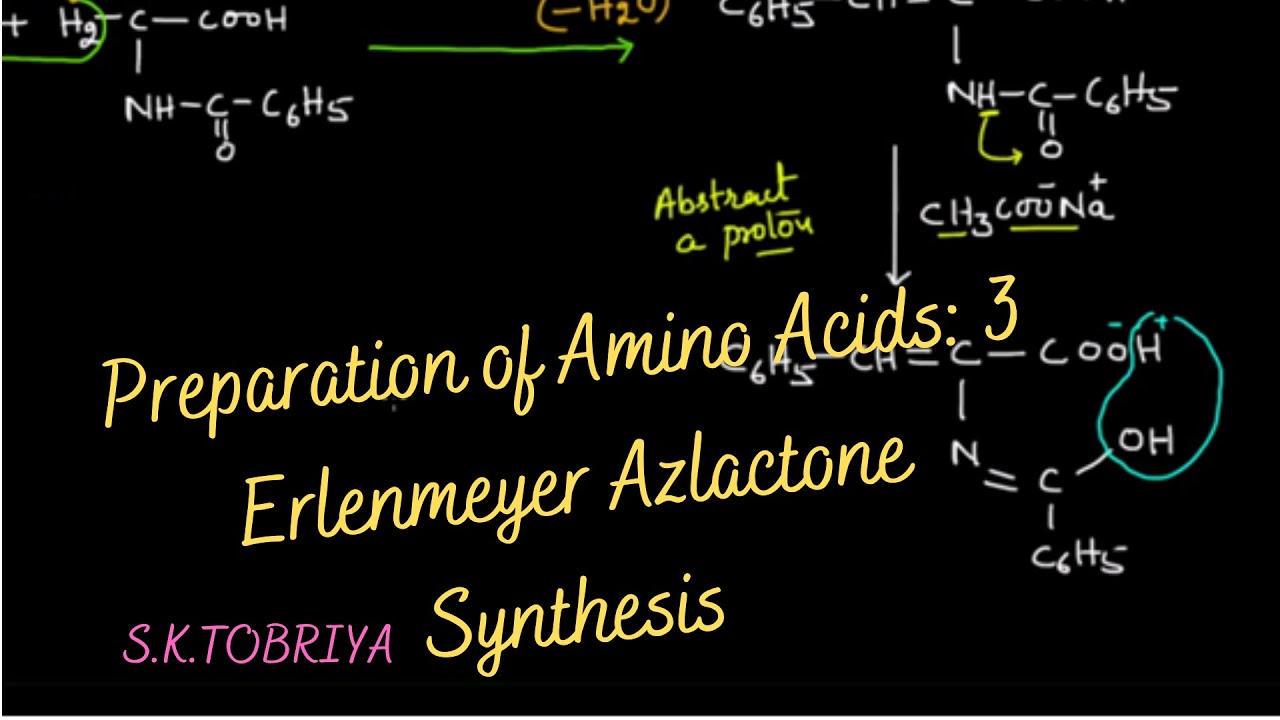 Erlenmeyer Azlactone Synthesis for amino acid