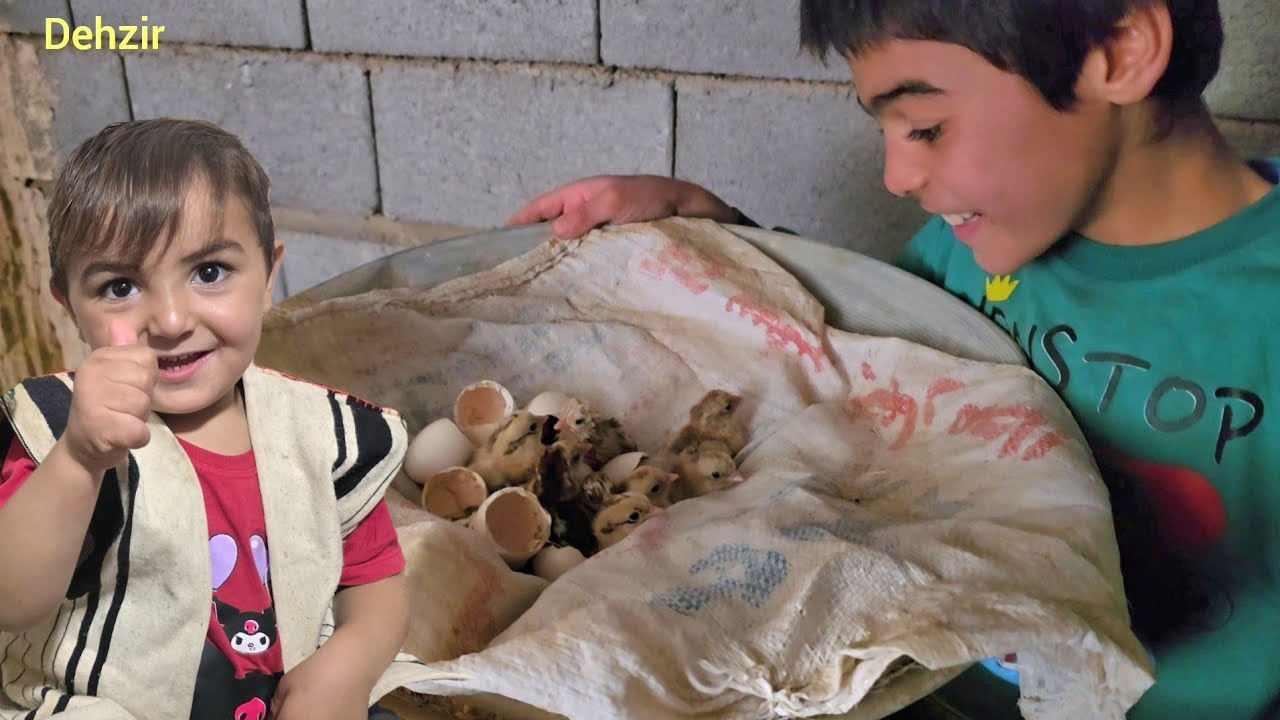 Agha Qurban's illness;thechildren's efforts to find a placefor he donkey and the birth of the chicks