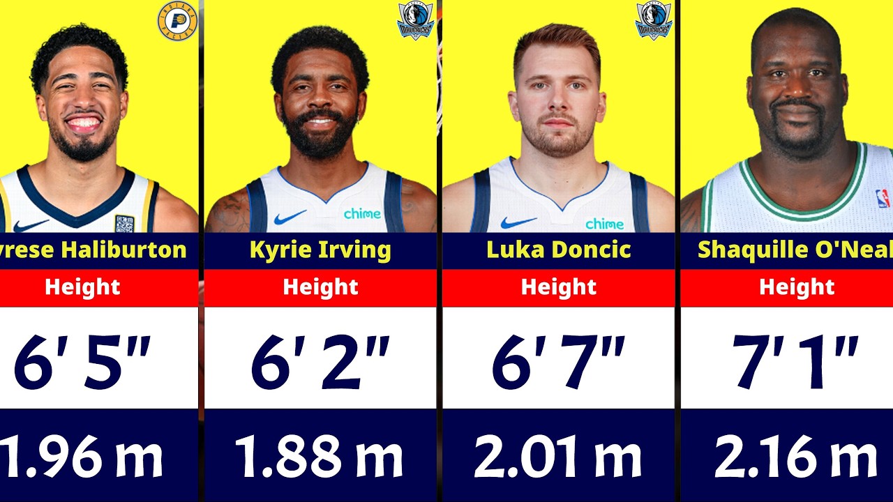 Height of Great NBA Players in 2024