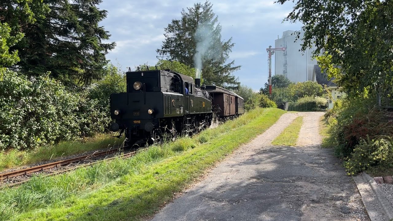Angelner Dampfeisenbahn 09-2023