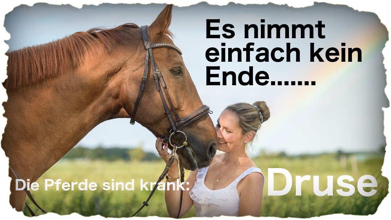 Druse - Es nimmt einfach kein Ende....