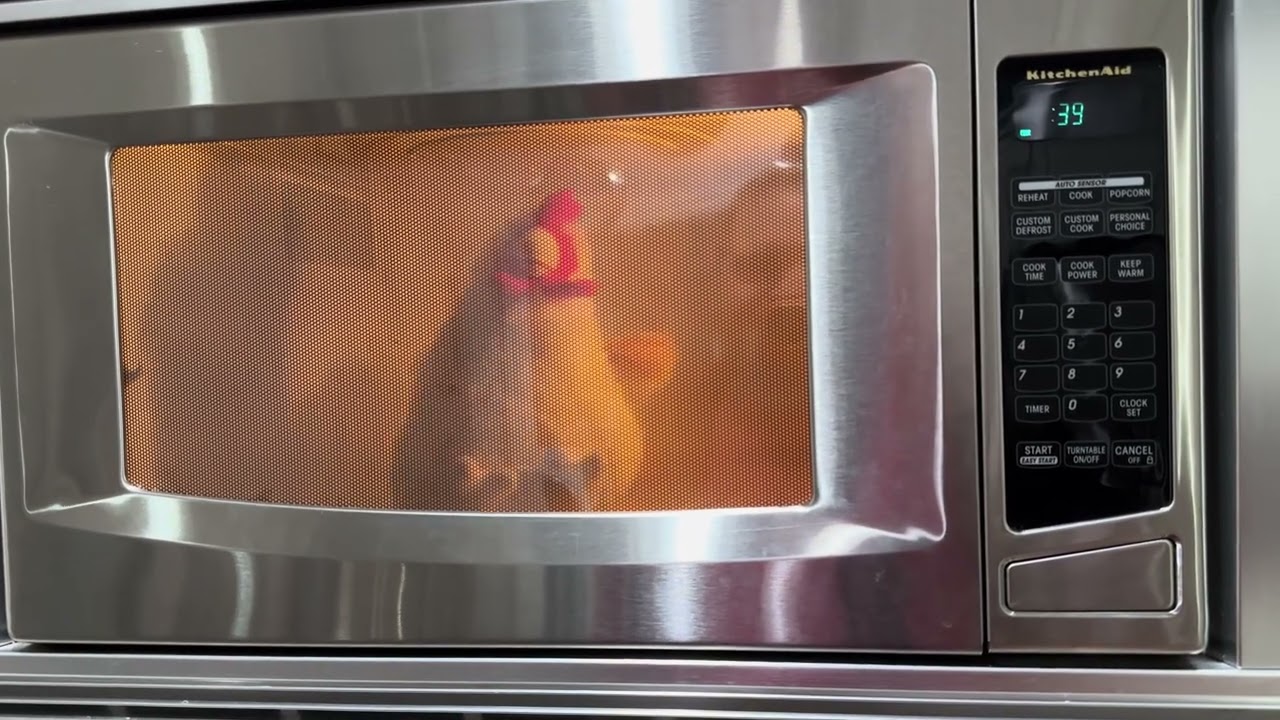 Microwave Chicken 