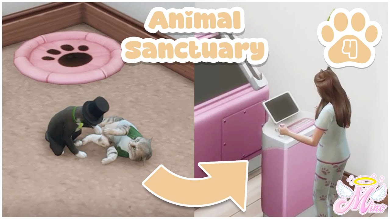 Our first surgery at the Vet Clinic | Episode 4 Mini Series