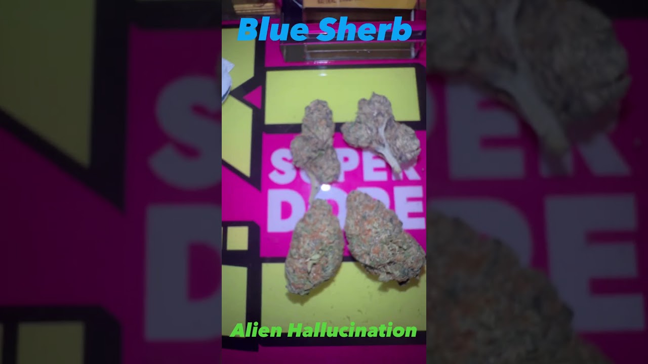 Blue Sherb/Alien Hallucination